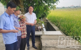 Kiểm tra tiến độ thu hoạch l&uacute;a xu&acirc;n tại huyện Kiến Xương