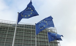 Quan hệ EU v&agrave; ch&acirc;u Phi: Đồng h&agrave;nh c&ugrave;ng ph&aacute;t triển