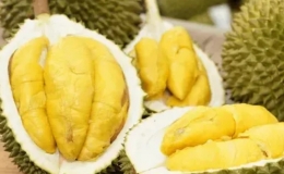 Sầu ri&ecirc;ng đ&ocirc;ng lạnh Việt "rộng đường" v&agrave;o Trung Quốc