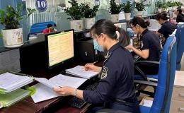 Tạm dừng tiếp nhận khai hải quan từ 22h ng&agrave;y 30-6 đến 5h ng&agrave;y 1-7