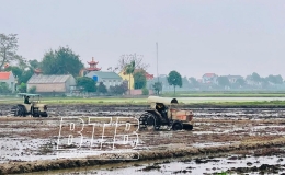 Tận dụng thời vụ, n&acirc;ng cao hiệu quả