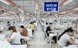 Thuế thu nhập c&aacute; nh&acirc;n của người lao động tại c&aacute;c c&ocirc;ng ty