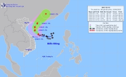 Tin b&atilde;o tr&ecirc;n biển Đ&ocirc;ng (Cơn b&atilde;o số 1)