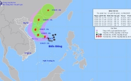 Tin b&atilde;o tr&ecirc;n biển Đ&ocirc;ng (Cơn b&atilde;o số 1)