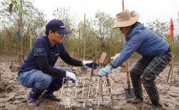 To&agrave;n tỉnh đ&atilde; trồng tr&ecirc;n 1,3 triệu c&acirc;y ph&acirc;n t&aacute;n