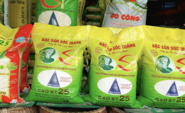 Tr&agrave;n lan 'Gạo &Ocirc;ng Cua' ST25 giả mạo