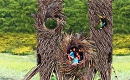 Th&uacute; vị những ng&ocirc;i nh&agrave; tổ chim