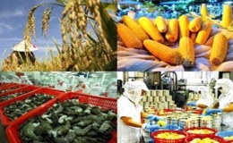 6 th&aacute;ng, thặng dư thương mại ng&agrave;nh n&ocirc;ng nghiệp giảm 18,5%