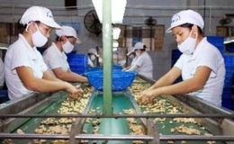 Xuất khẩu n&ocirc;ng l&acirc;m thủy sản đạt gần 15,6 tỷ USD