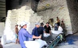 Gi&aacute; gạo xuất khẩu của Việt Nam chưa giảm