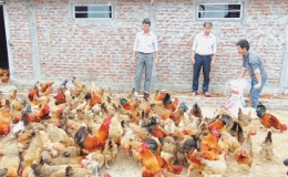 Quỹ T&iacute;n dụng nh&acirc;n d&acirc;n Li&ecirc;n Giang hoạt động gần d&acirc;n, s&aacute;t d&acirc;n