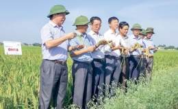 Người thương binh nặng t&igrave;nh với n&ocirc;ng d&acirc;n