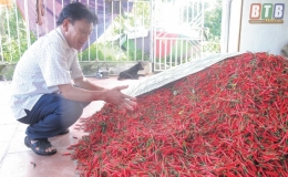 &Ocirc;ng Sơn t&iacute;ch tụ ruộng đất