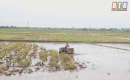 Tiền Hải: Quản l&yacute; vật tư n&ocirc;ng nghiệp phục vụ sản xuất