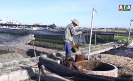 Người trồng rau nhọc nhằn với nắng n&oacute;ng k&eacute;o d&agrave;i