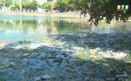 H&ocirc;̀ nước hay h&ocirc;̀ rác