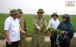 Đồng ch&iacute; Nguyễn Hồng Di&ecirc;n, Ủy vi&ecirc;n Trung ương Đảng, B&iacute; thư Tỉnh ủy, Chủ tịch UBND tỉnh kiểm tra, chỉ đạo sản xuất n&ocirc;ng nghiệp