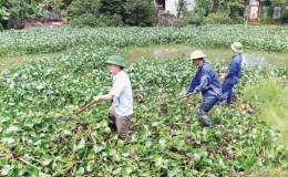 Hưng H&agrave; ph&ograve;ng, chống ngập &uacute;ng từ xa