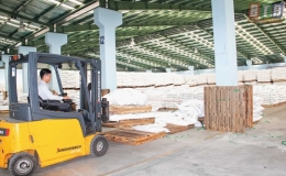 Xuất nhập khẩu tr&ecirc;n đ&agrave; tăng trưởng