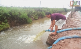 Tiền Hải: Chủ động ti&ecirc;u nước v&ugrave;ng nu&ocirc;i trồng thủy sản