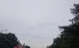 Khu vực ch&aacute;y rừng tại H&agrave; Tĩnh đ&atilde; c&oacute; mưa!