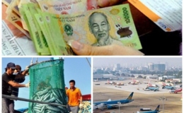 Ch&iacute;nh s&aacute;ch hỗ trợ bảo hiểm n&ocirc;ng nghiệp