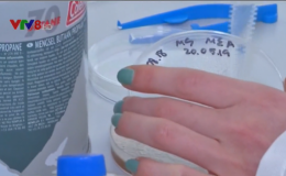 Ph&aacute;t hiện loại nấm c&oacute; thể gi&uacute;p ph&acirc;n t&aacute;ch kim loại hiếm từ nước thải