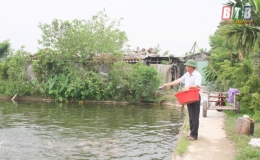 Thu l&atilde;i h&agrave;ng trăm triệu đồng từ nu&ocirc;i trồng thủy sản