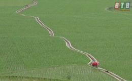 Tiếng gọi T&acirc;y Bắc (Kỳ 1)