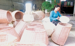 Kiến Xương: Thực trạng  ph&aacute;t triển nghề truyền thống