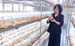 Nghề tay tr&aacute;i cho thu nhập tiền tỷ