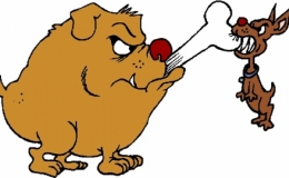 Nhỏ m&agrave; c&oacute; v&otilde;