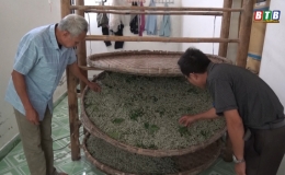 Nu&ocirc;i tằm trong ph&ograve;ng lạnh, d&acirc;n Hồng L&yacute; hốt bạc 