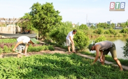 &ldquo;Thực t&uacute;c, binh cường&rdquo;