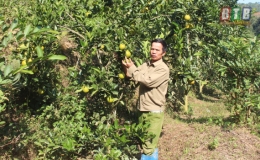 Rạng danh qu&ecirc; l&uacute;a Th&aacute;i B&igrave;nh 