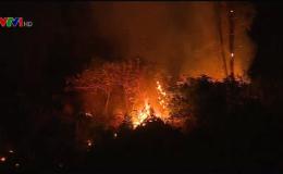 Li&ecirc;n tiếp xảy ra ch&aacute;y rừng tại miền Trung