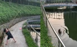 Cậu b&eacute; bất lực khi k&eacute;o c&aacute; l&ecirc;n bờ