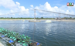 Th&aacute;i Thụy tăng cường bảo vệ động vật thủy hải sản 