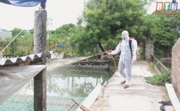 Kiến Xương: Quyết liệt dập dịch c&uacute;m A/H5N6 tr&ecirc;n đ&agrave;n gia cầm