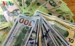 Tỷ gi&aacute; ngoại tệ ng&agrave;y 29/7: Gi&aacute; USD trong nước tăng nhẹ