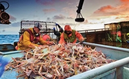 N&ocirc;ng sản Mỹ gi&aacute; rẻ đổ v&agrave;o Việt Nam