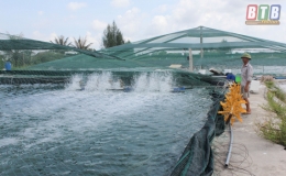 Th&aacute;i Thượng: Bảo đảm an to&agrave;n nu&ocirc;i trồng thủy sản m&ugrave;a mưa b&atilde;o