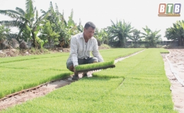 Biến ruộng hoang th&agrave;nh v&ugrave;ng sản xuất quy m&ocirc; lớn