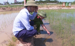 Cảnh b&aacute;o nguy hiểm khi sử dụng bẫy điện diệt chuột 