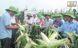 Điệp N&ocirc;ng: Tập trung ph&aacute;t triển kinh tế