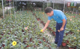 Đ&ocirc;ng Hưng: Ph&aacute;t triển n&ocirc;ng nghiệp theo hướng hiện đại