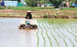 HTX Kinh doanh DVNN x&atilde; An Lễ: Địa chỉ tin cậy của n&ocirc;ng d&acirc;n