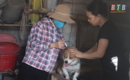 Kh&ocirc;ng chủ quan trong c&ocirc;ng t&aacute;c ph&ograve;ng, chống bệnh dại tr&ecirc;n đ&agrave;n ch&oacute;, m&egrave;o