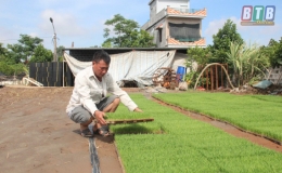 N&ocirc;ng d&acirc;n l&agrave;m gi&agrave;u từ t&iacute;ch tụ ruộng đất