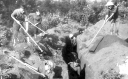 Ph&aacute;o đ&agrave;i đồng bằng